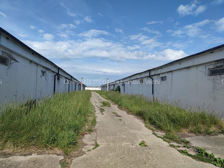 Spatiu productie/ depozitare, 600 mp, Brasov - Bod. - 2