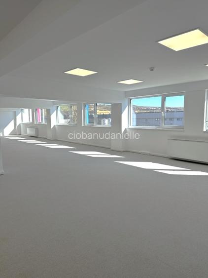 Cladire de vanzare – spatii diverse, 130 - 6000 mp / Zona in plina dezvoltare - 14