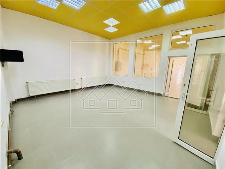 Spatiu industrial si de birouri in zona Terezian - finisaje moderne