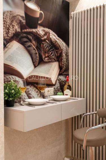 apartament 2 camere in CENTRU, Piata Natiunile Unite - 8
