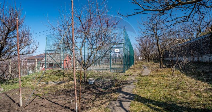 Teren intravilan Gruia, 2,491mp, ideal una-doua case - 5