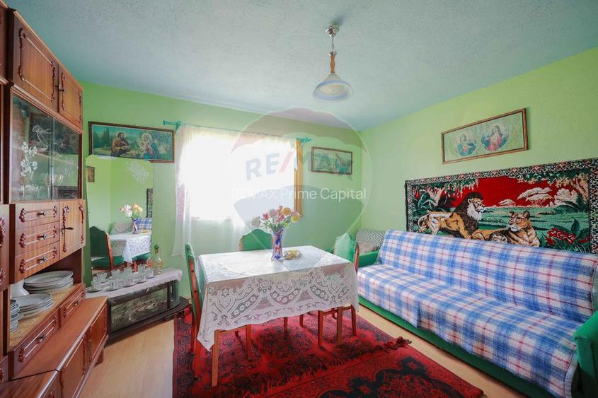 De vânzare casă cu teren și pădure 55706 mp - Șinteu, Valea Târnei - 7