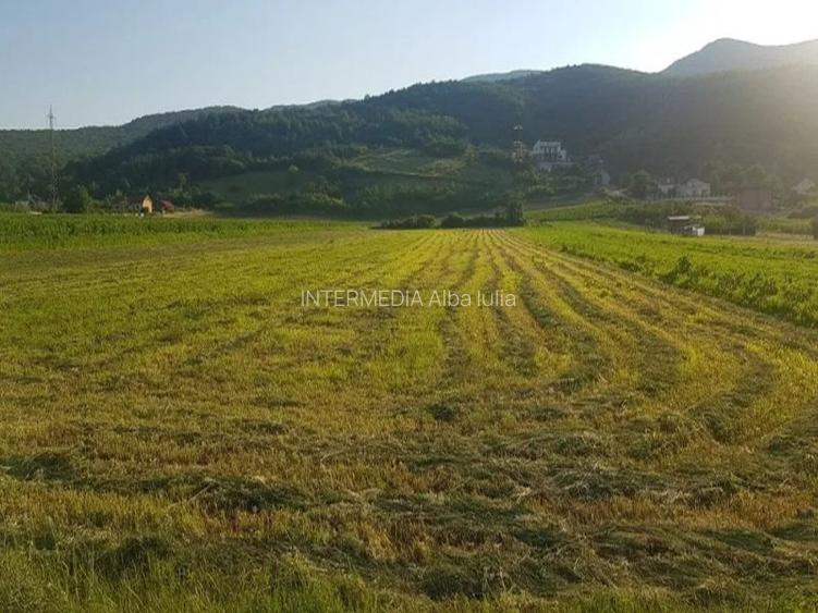 Vanzare Teren Intravilan 4400 mp CETATE Stadion, D+P+4 la asfalt toate utilitati - 5