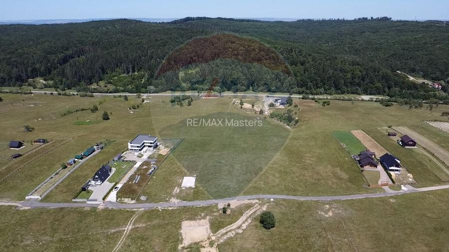 Teren 3,757mp Paltinoasa / Strada principala - 10
