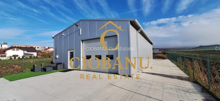 Hala de vanzare in Racarii de Jos - 4