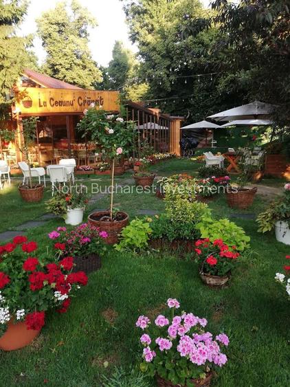 Spatiu comercial de vanzare pentru restaurant | Parcul Herastrau - 6
