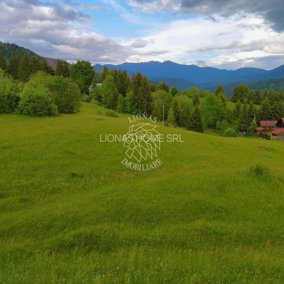 Parcele teren intravilan-ideal hotel/cabana-Colibita, Zona Panoramic - 3