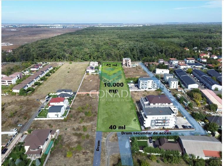 Teren - Voluntari - vis a vis de Padure - 10.000 mp - 3