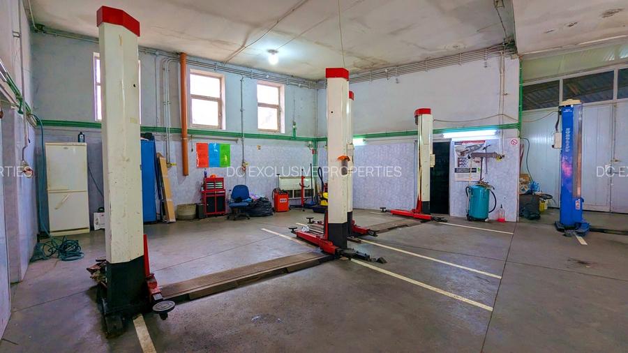 Teren 486 MP I Dubla Deschidere I Brancoveanu - 9