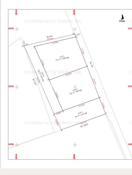 Saftica Primarie 3244 mp lotizat - 7