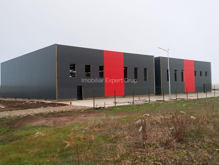 Hale noi PRET BOMBA ( 2 bucati ) 538 mp buc. Frumusani- Autostrada AO - 2