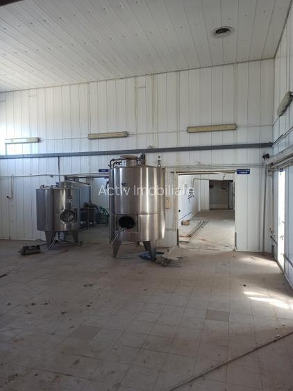 HALA ideala pentru PRODUCTIE ALIMENTARA, Poiana, Ovidiu – 827 mp, teren 4066 mp - 20