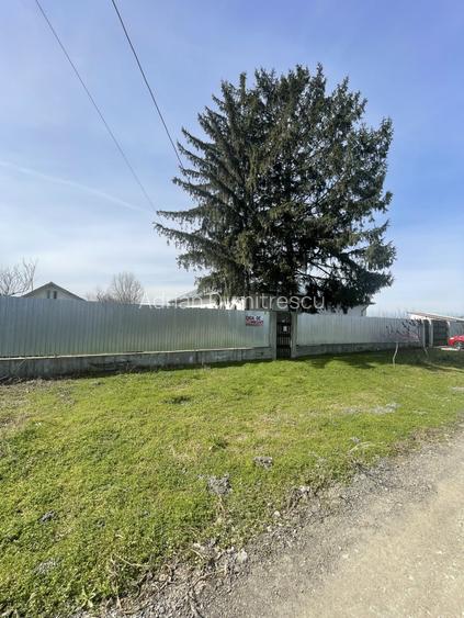 Mitreni-Valea Rosie-Acasa la Tara -4 camere-178 mp-LOT  1000 mp+Casa secundara - 46