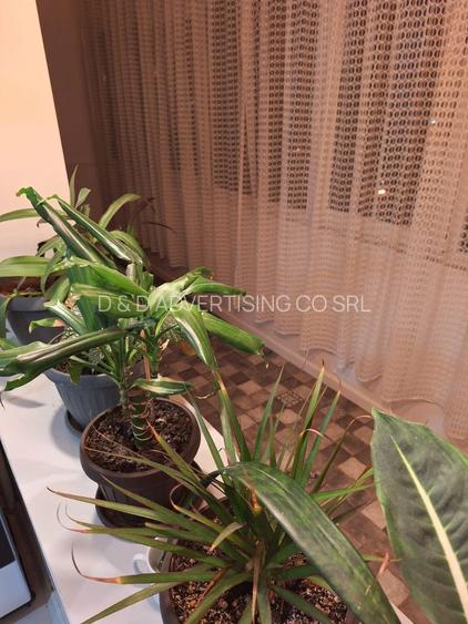 GORJULUI - 3 minute metrou - Apartament 2 camere CONFORT 1 - 3