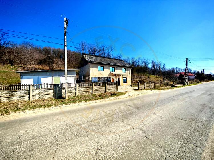 Casă cu teren generos în Dârmănești, Argeș-ideală pentru locuința sau afacere - 13