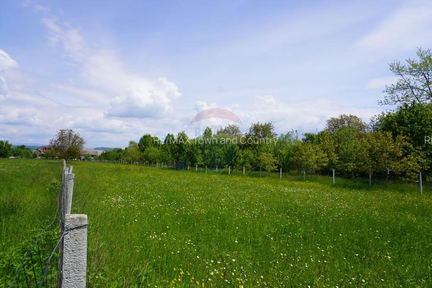 Teren 2,486mp Sighetu Marmatiei / Strada Constantin Dobrogeanu-Gherea - 7