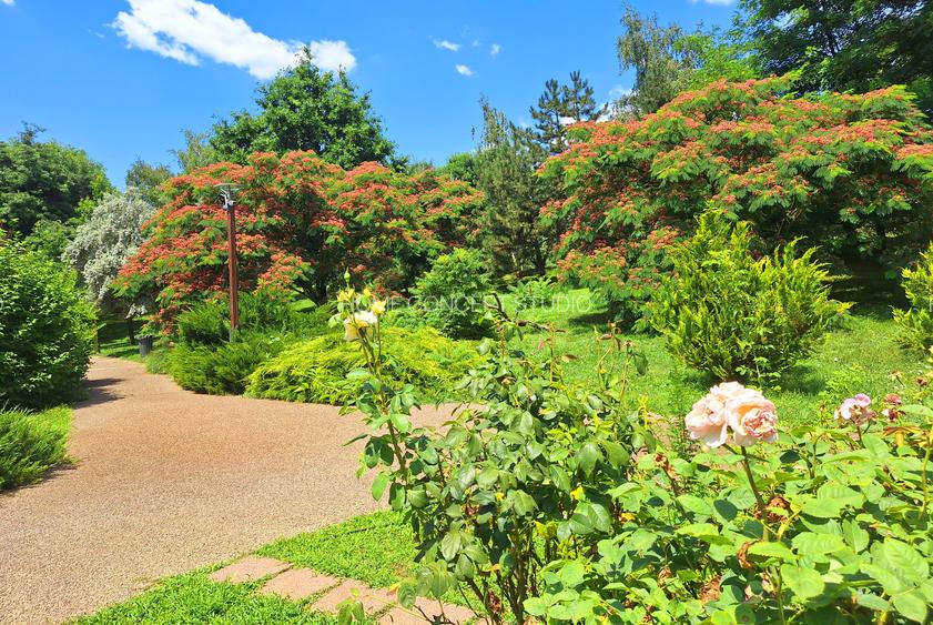 FOREST CHITILA, vilă la liziera pădurii - 24