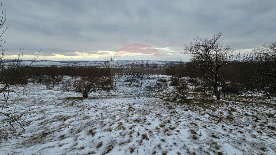Teren 10,000mp Radaseni / Soseaua DN2-E85, judetul Suceava - 9