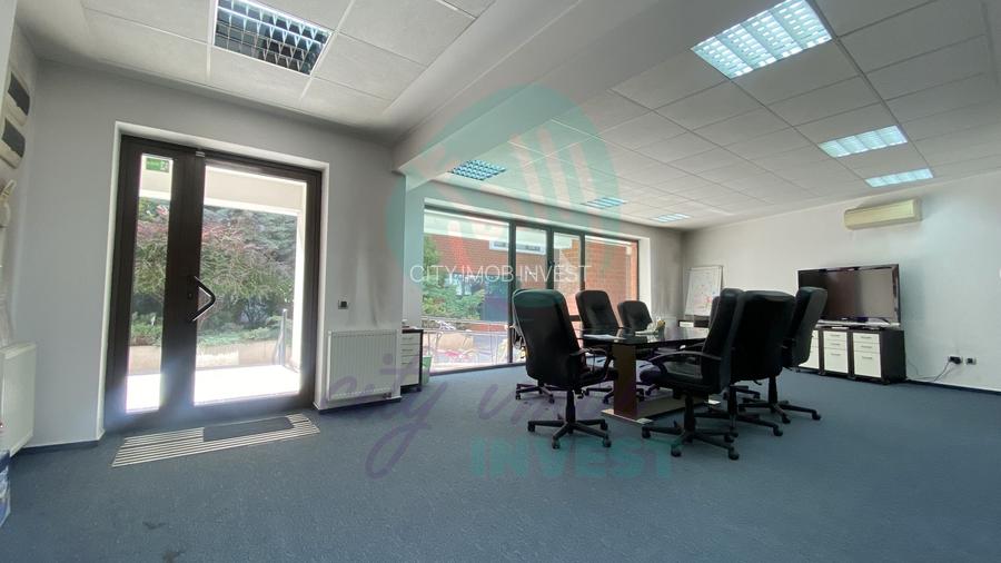 Spații de Birouri Moderne, Cișmigiu - 10