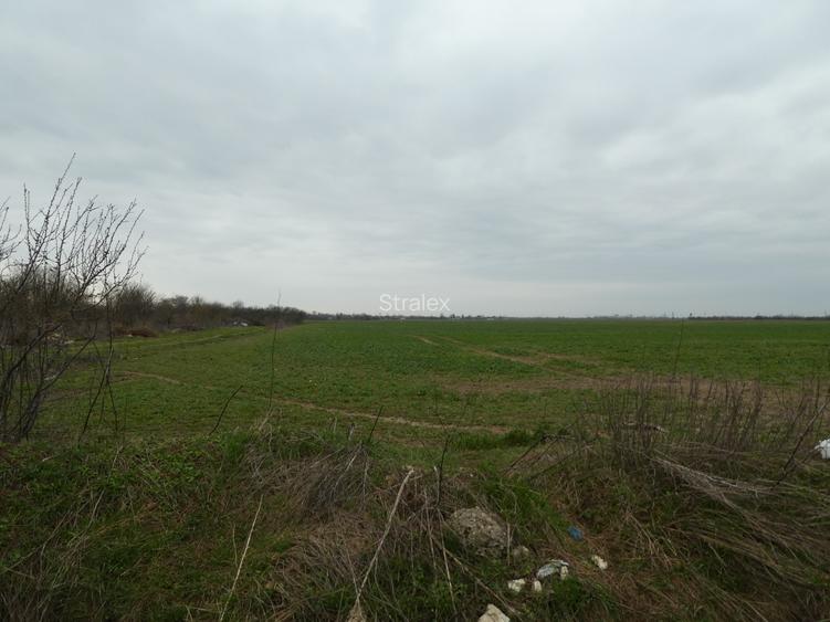 Teren 10.000 mp Butimanu in spatele caselor - 4