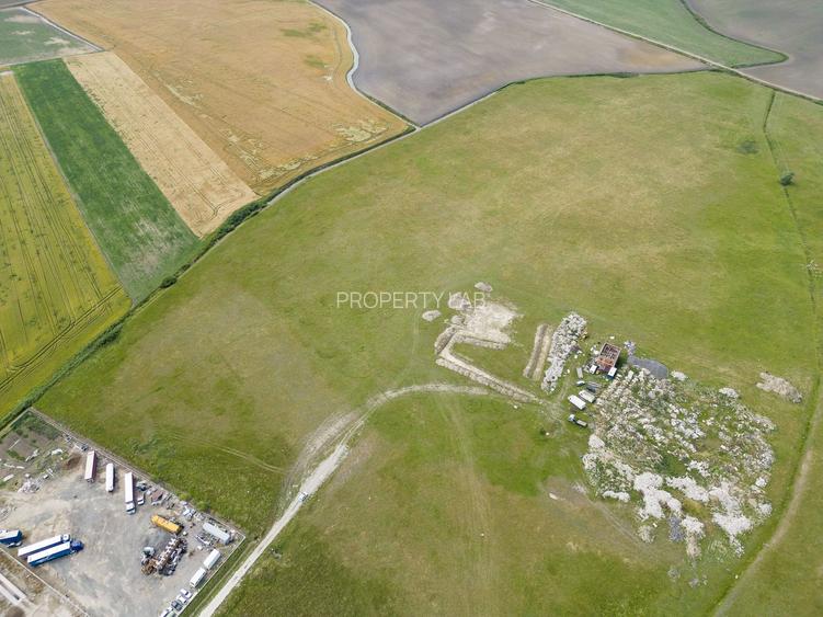 Teren intravilan de 26,606mp Sacalaz - 19