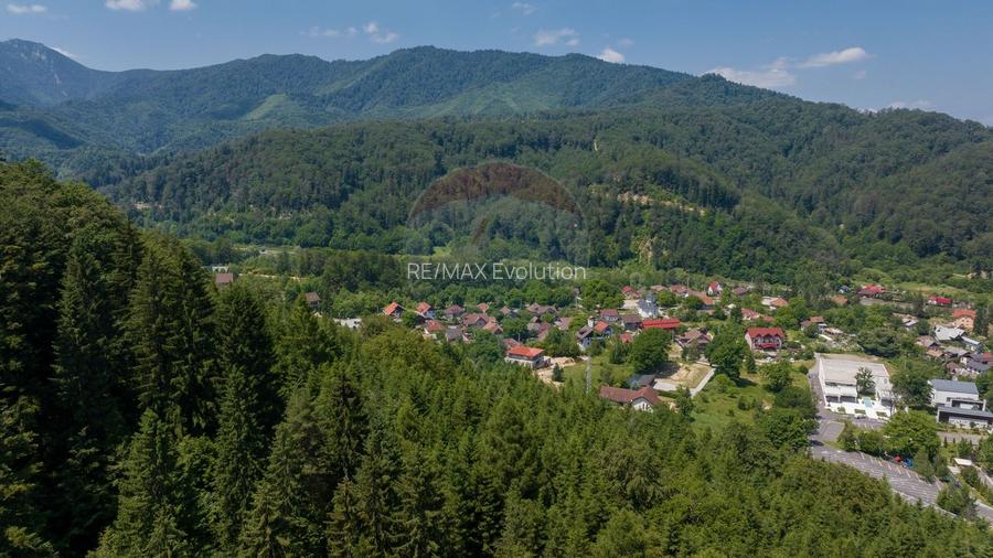 TTeren intravilan, 3500 mp, Dâmbu Morii - 12