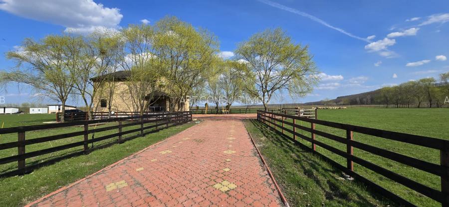 Fermă Zootehnică de Vânzare 6 Ha | Vaci și Oi | Grajd si Saivane | Calugareni | - 4