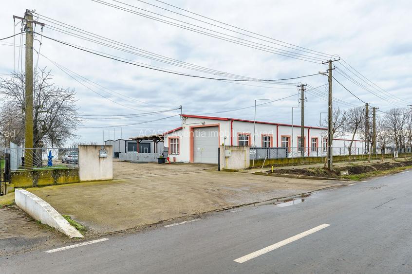 Hale depozitare/producție 2.000 mp si 10.000 mp teren în Pecica - 11