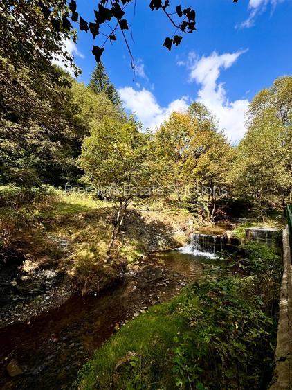 Vila de Vânzare în Cheia, Prahova - Relaxare și Confort într-un Cadru Natural de - 57