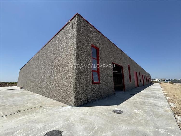 Vanzare depozit/spatiu industrial/hala Chitila - Rudeni, ILFOV - 10