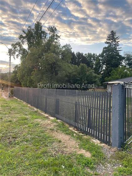 Casa in Paulis-Baratca la Parter cu deal in spate - 4