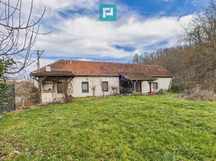 Casă deosebită la Urvișu de Beliu - 2