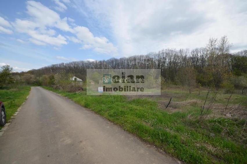 Snagov Crizantemelor Teren 3200mp, d 72ml, gaz, curent, asfalt, padure - 3