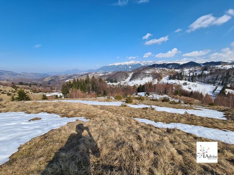 Teren De Vanzare In Sirnea - 14