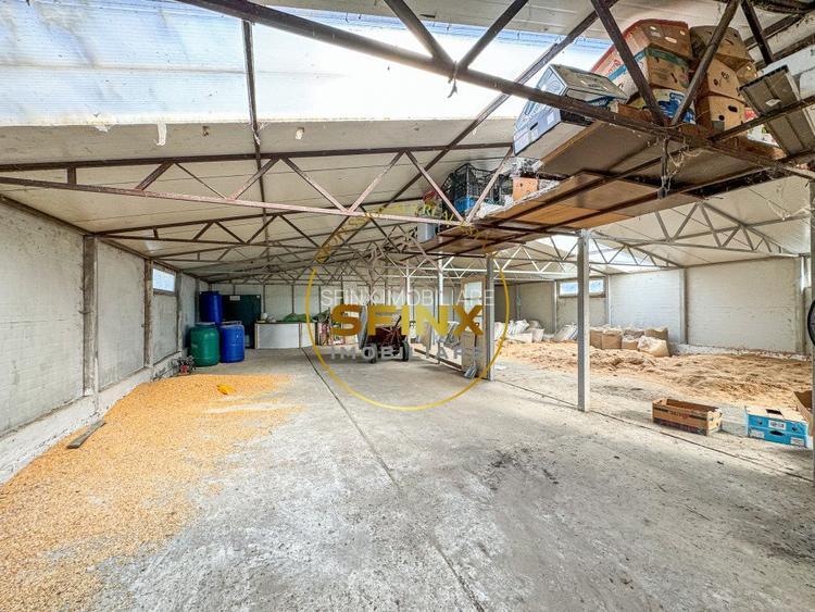 De vanzare ferma Calarasi in stare de conservare - sere - livada  - 13