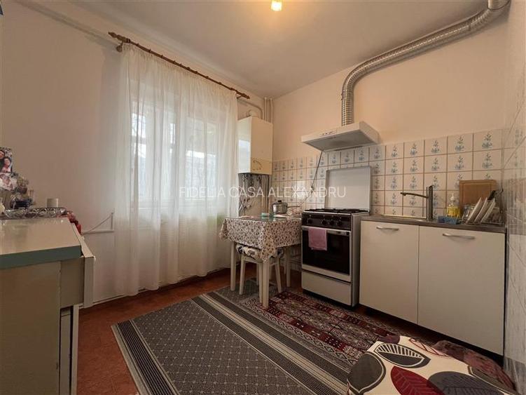 Apartament cu 3 camere decomandat, situat în zona Nicolina 2 – prima parte - 9
