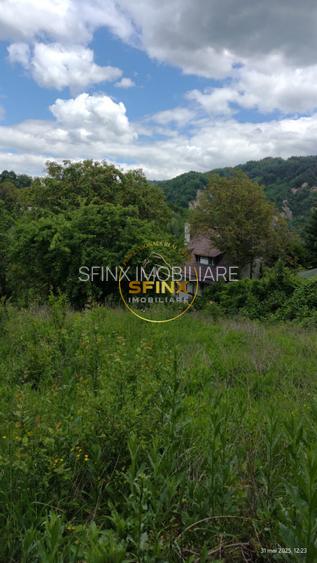 Teren intravilan cu deschidere la parau in Breaza – Strada Primaverii - 9