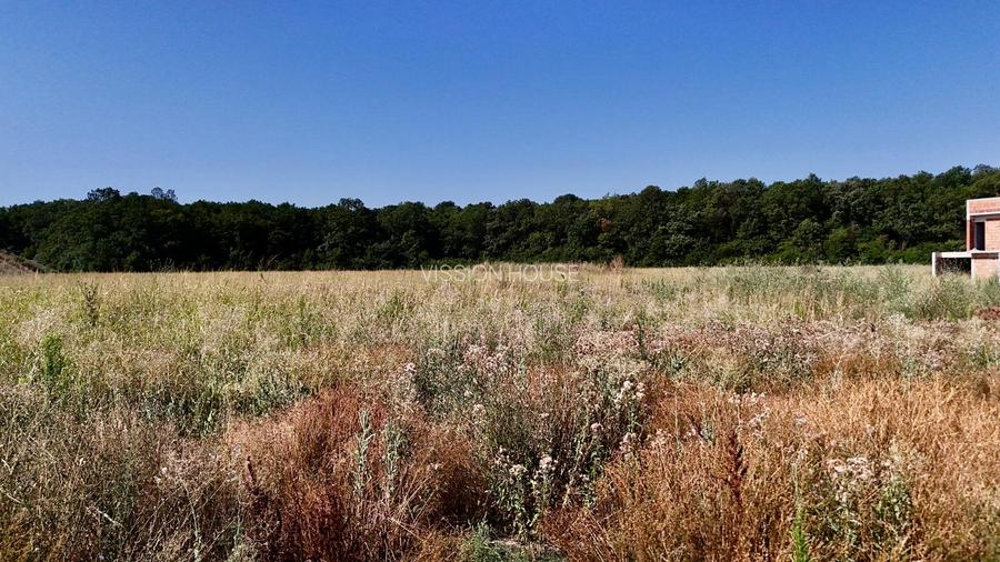 Teren 9400 mp Tunari | Padure | Tarla 39 - 5