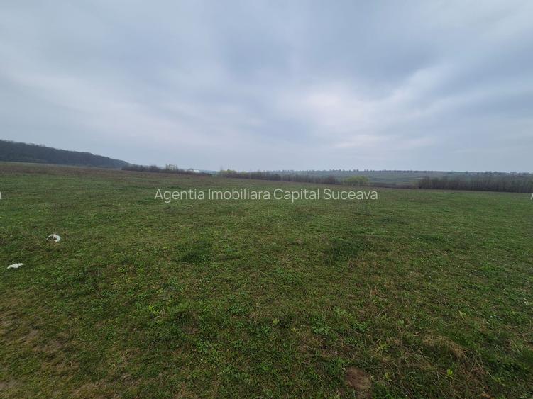 Teren Mitoc-Lipoveni de vânzare - 4