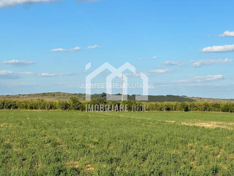 Teren INT construcție duplex / case cuplate 1503 mp - Jucu de Sus - 2