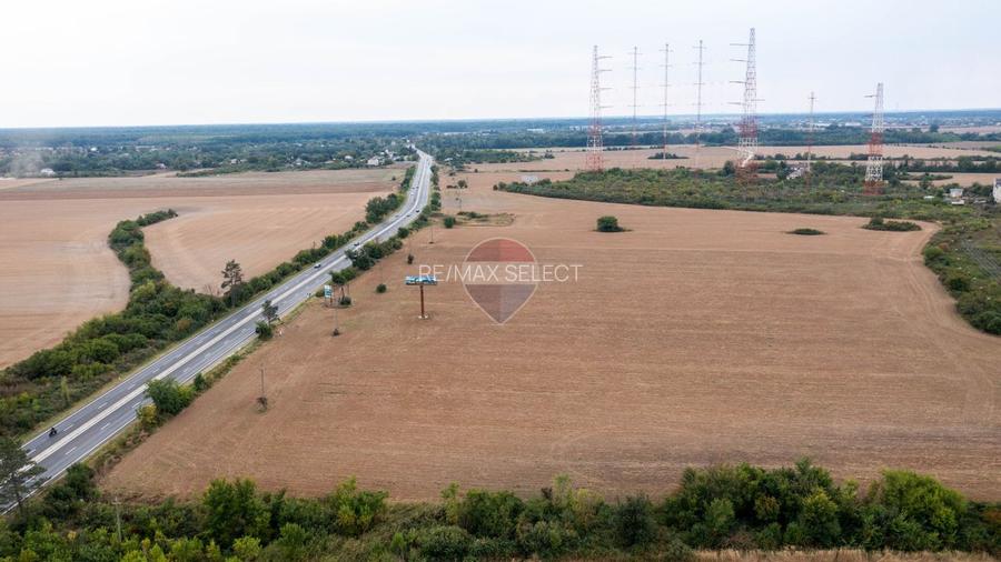 Teren intravilan  10.000mp Ciolpani, acces direct din DN1 - 5