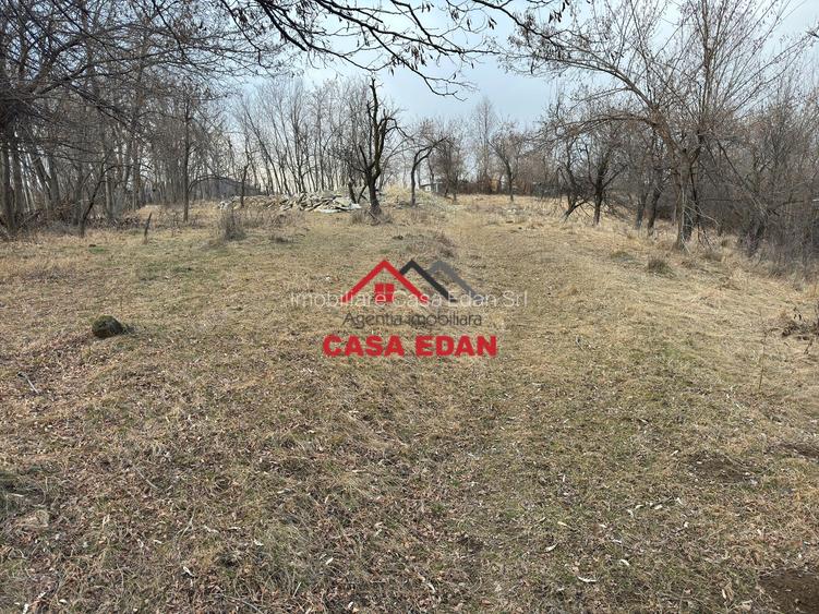 Teren intravilan in Cornu--3074m--90.000e - 5