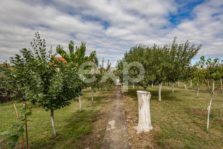 Casă spațioasă cu livadă în Buziaș - 14