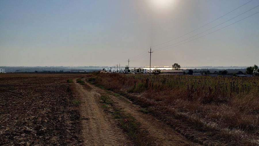 Teren pentru Parc Logistic, hale - Ovidiu - 7