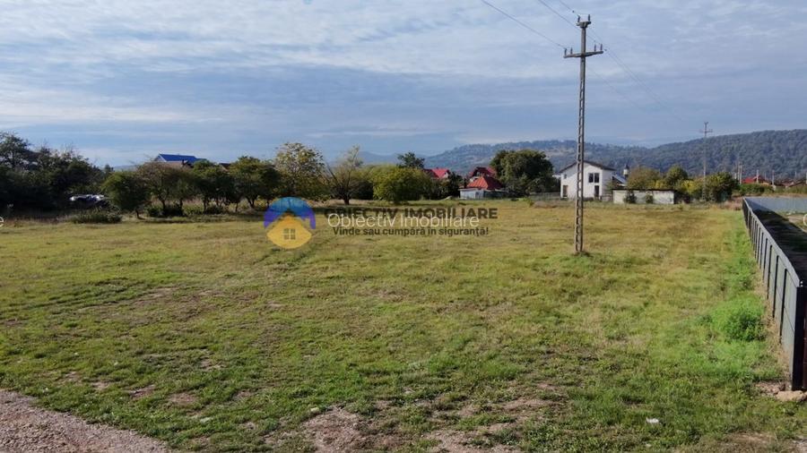 Teren de vanzare 1800 mp – Dumbrava Rosie - 8