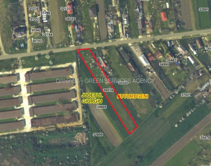 com. Buturugeni, sat Posta, stradal DJ 412A, intravilan, 2720 mp - 2