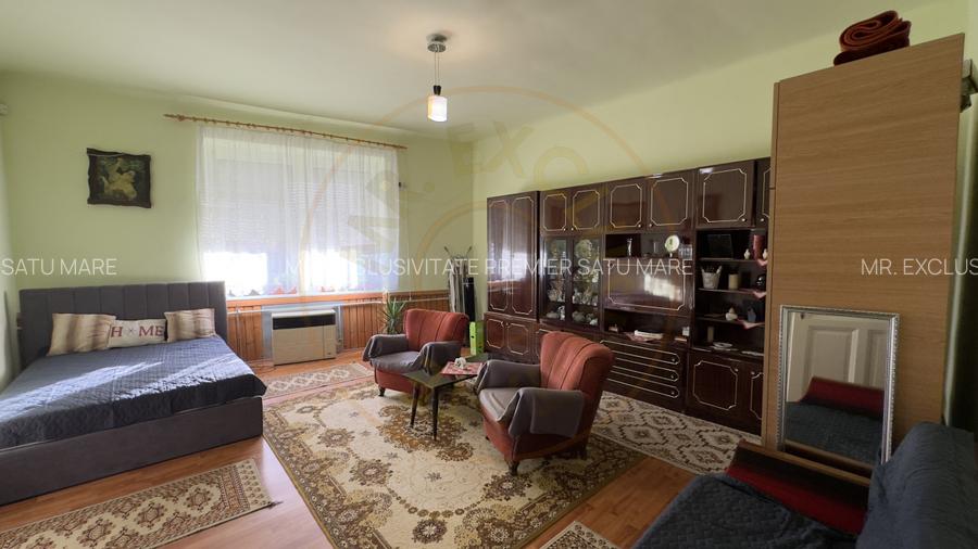 Casa 4 camere cu Teren 2.974 mp | Rezidenta sau afacere | Carei - 7