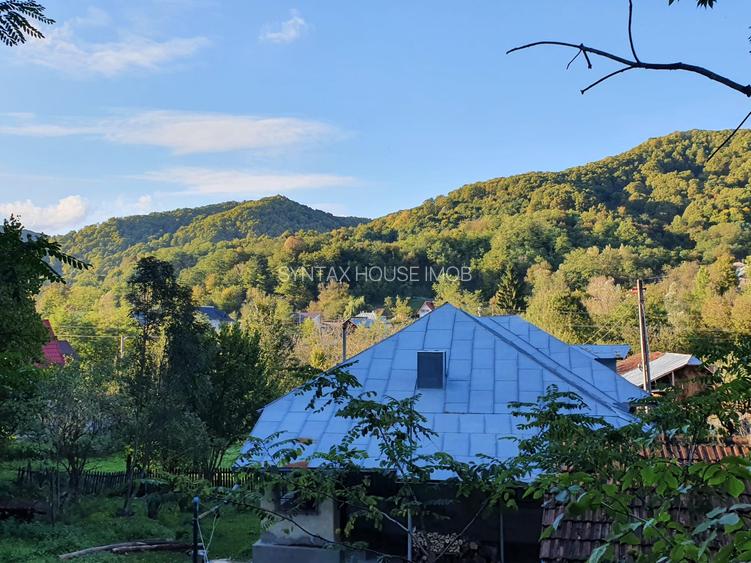 Puciosa Moreni Valea Lunga Sat Izvoru 20000mp teren de vanzare - 10