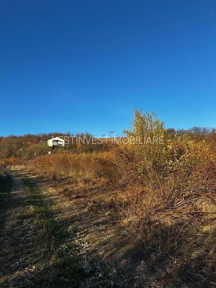 Teren intravilan lacul Hanul Pescarilor - 2