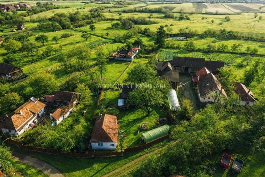 FILM! Casa cu sura, pivnita, balta cu pesti, 2.280 mp teren roditor, Lemnia, Cov - 8